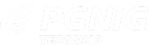 logo-pgnig.png